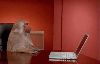 baboon-laptop
