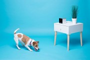 Petcube-Interactive-Wi-Fi-Pet-Camera-0-9