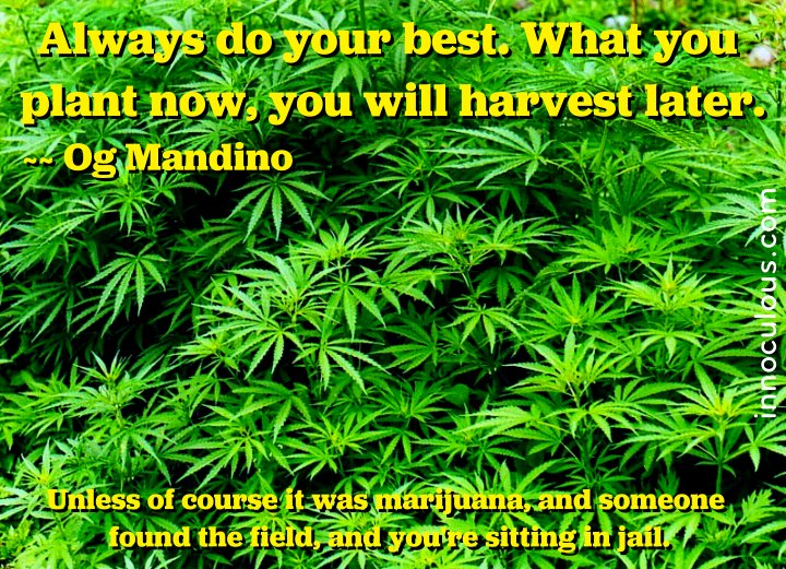 what-you-plant-you-harvest-720