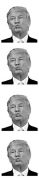 Donald-Trump-Toilet-Paper-Dump-with-Trump-Highly-Collectible-Novelty-Toilet-Paper-Made-In-The-USA-by-American-Art-Classics-Funny-for-Democrats-or-Republicans-Funniest-Political-Gift-of-2016-0-6