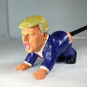 Donald-Trump-Pen-Holder-Funny-Gag-Gift-For-Hillary-Obama-Fans-Looks-Great-in-Every-room-From-the-Bathroom-To-The-Kitchen-Table-Something-Every-Democrat-Should-Have-0
